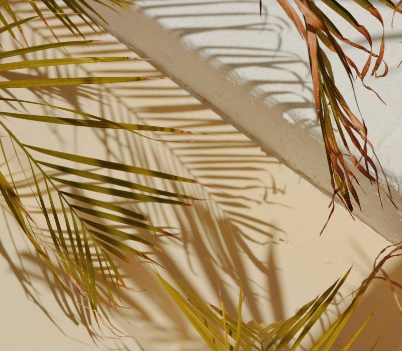 Home Background (1)-min